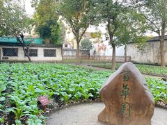 -绍兴鲁迅故里·沈园景区