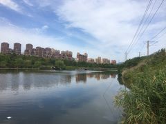 -前关湿地公园