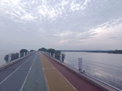 -贡湖湾湿地公园