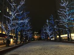 -北海道厅旧本厅舍(旧本庁舎)