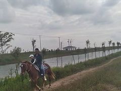 -上海长兴岛郊野公园