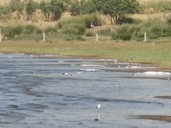 -亿利库布其七星湖沙漠生态旅游区