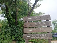 -阳台山自然风景区