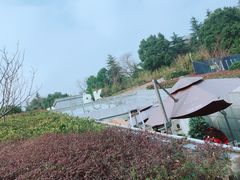 -UNI UNI(环亚凯瑟琳店)