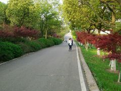 -南京市江宁方山