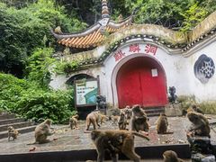 -黔灵山公园