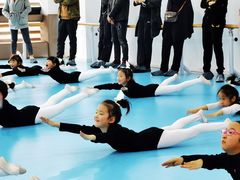 -西安小天鹅艺术团(曲江Alice店)