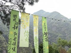 -秦岭终南山世界地质公园翠华山景区