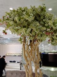 -今生有约国际精品婚纱摄影(苏州店)