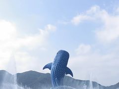 -珠海长隆海洋王国
