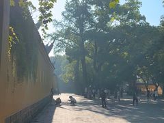 -西园戒幢律寺