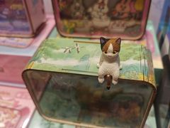-猫的天空之城概念书店(大学路店)