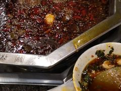 -绵阳森林雨鸭肠王火锅城(丽景花城店)