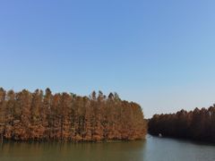 -上海海湾国家森林公园