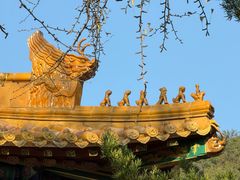 -普陀山风景名胜区-法雨禅寺