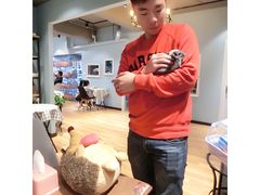 -藦茜花园宠物主题亲子互动体验馆(国顺东路店)