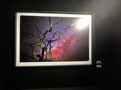 -罗红摄影艺术馆