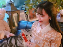 -咖法森林·咖啡  酒吧(天河店)