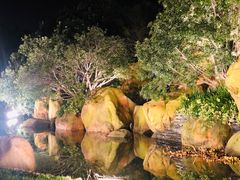 -上海浦东星河湾酒店