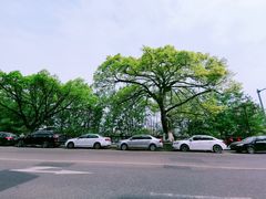 -继红顺河抄手名小吃