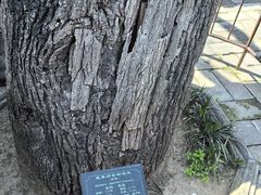 -蓬莱阁景区