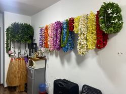 -呼拉汇舞蹈生活馆 Hawaii Hula&Tahiti Dance Studio