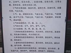 -药王庙(安国市)