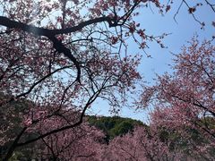-无锡梅园公园