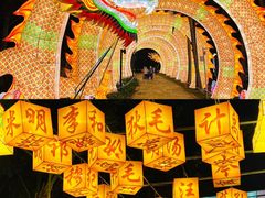 -欢乐海岸椰林沙滩-2025湾区超级灯会