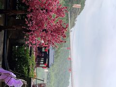 -石燕湖生态旅游景区
