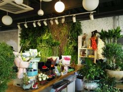 点击看大图 -六月嫁期婚礼(旗舰店)