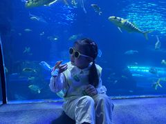 -太平洋海底世界