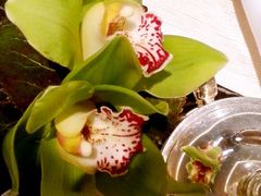 android_upload_pic-Salon de Ville浦江汇(上海外滩华尔道夫酒店店)