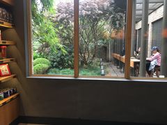 靠窗位-星巴克(人民公园店)