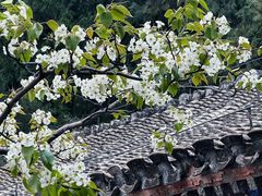-潭柘寺景区