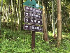-莫干山风景区