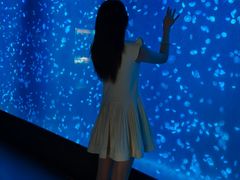 -合肥海洋世界