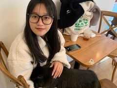 -有猫主题·治愈系猫咖(曾厝垵店)