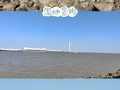 -上海吴淞炮台湾国家湿地公园