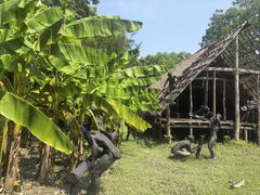 -河姆渡遗址博物馆