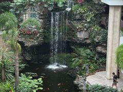 -广州白天鹅宾馆