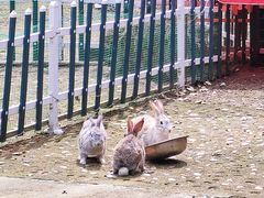 -哈尔滨北方森林动物园