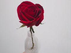 -那些花儿鲜花店(小寨店)