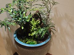 -鸢飞潍坊菜馆(鸢飞大酒店)