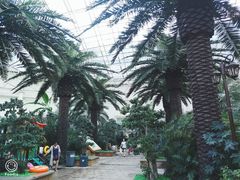 -观唐（国际）度假村温泉
