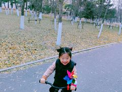 -长白岛森林公园