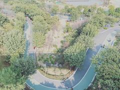 -飞凤山奥体公园