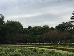 -洛阳市隋唐城遗址植物园