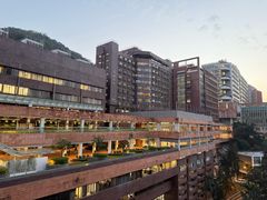 -香港大学