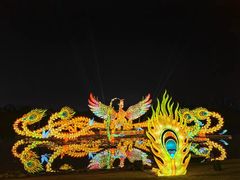 -武汉园博园(武汉自然博物馆)